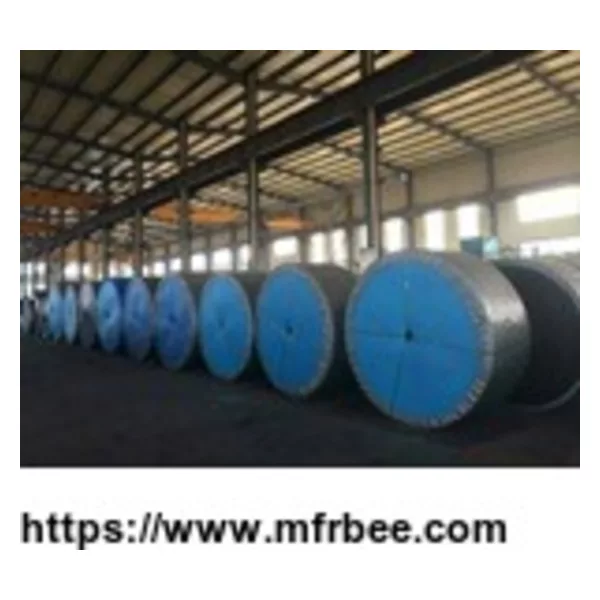 EP Conveyor Belt