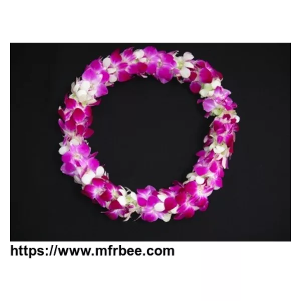 Double Multi-Color Lei