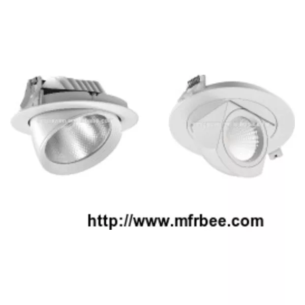 Adjustable Cob LED Trunk Ceiling Light