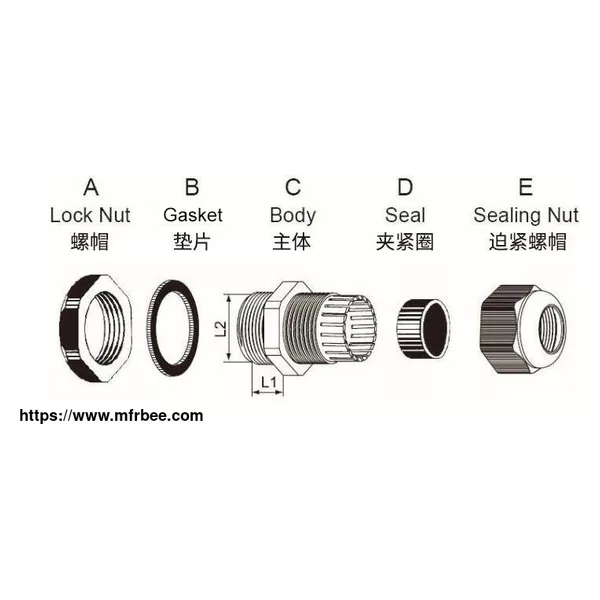 NPT Cable Gland