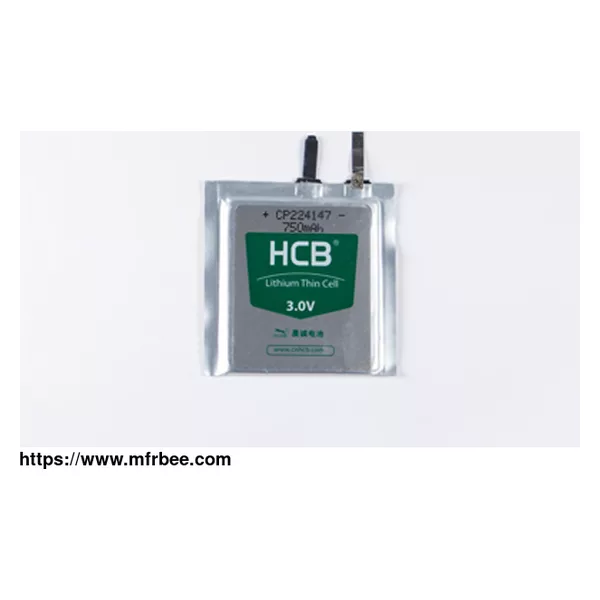 CP224147 Lithium Pouch Cell