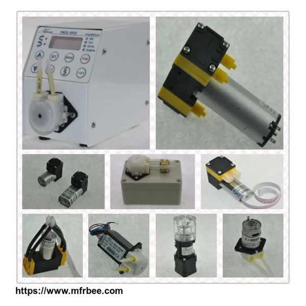Yuanwang YW02 Diaphragm pump  China pumps supplier