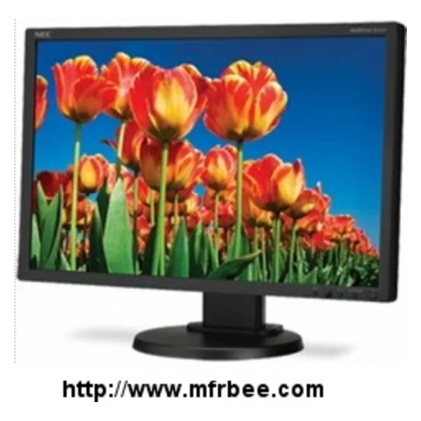 NEC 22 Inch Eco-Friendly Widescreen Desktop Monitor E222W-BK