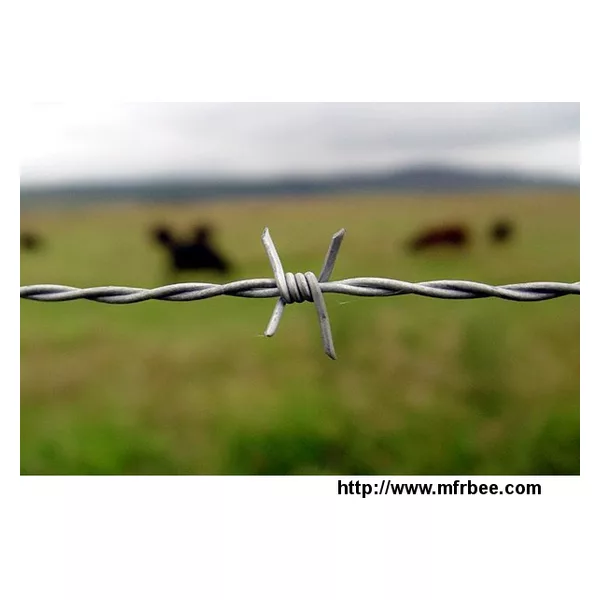 Barbed wire