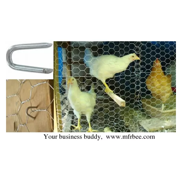 Poultry Staples