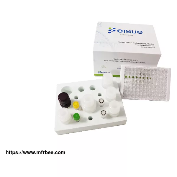Rat Lipase, Hormone Sensitive (LIPE) ELISA kit