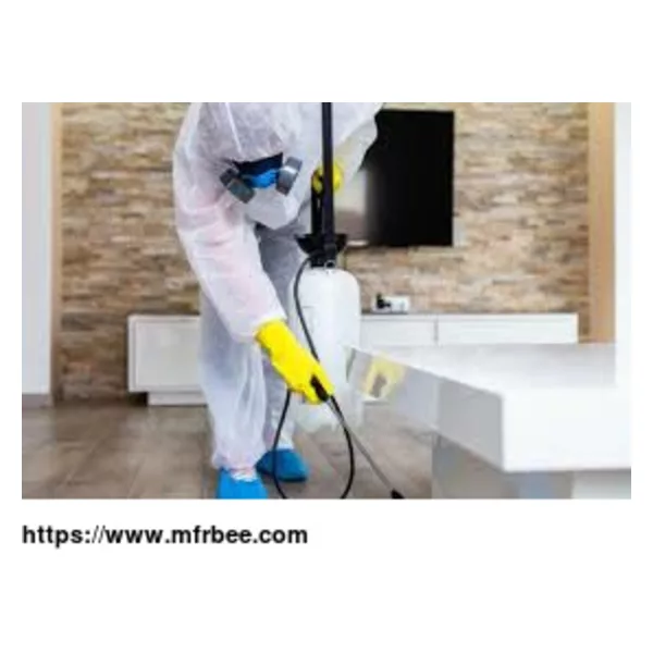 Pest Control Brisbane