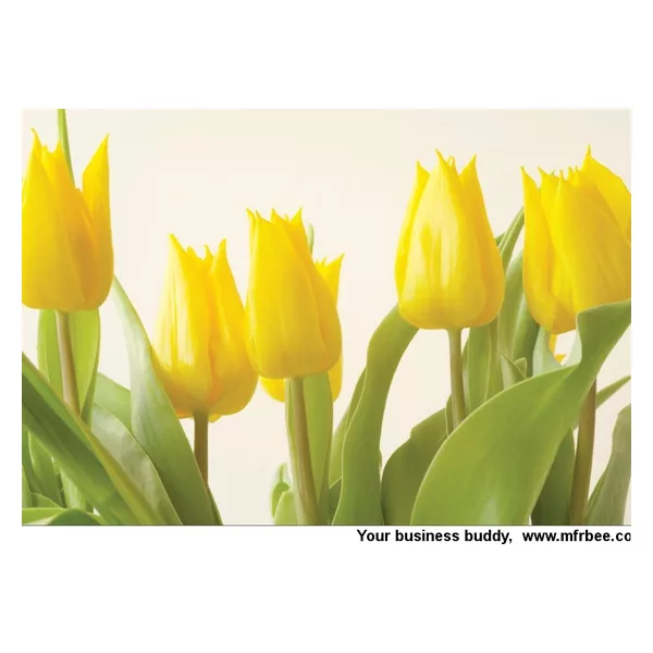 PP Printed Placemat PP-07