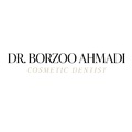 Borzoo Ahmadi