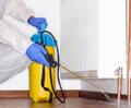 Pest Control Mooroolbark
