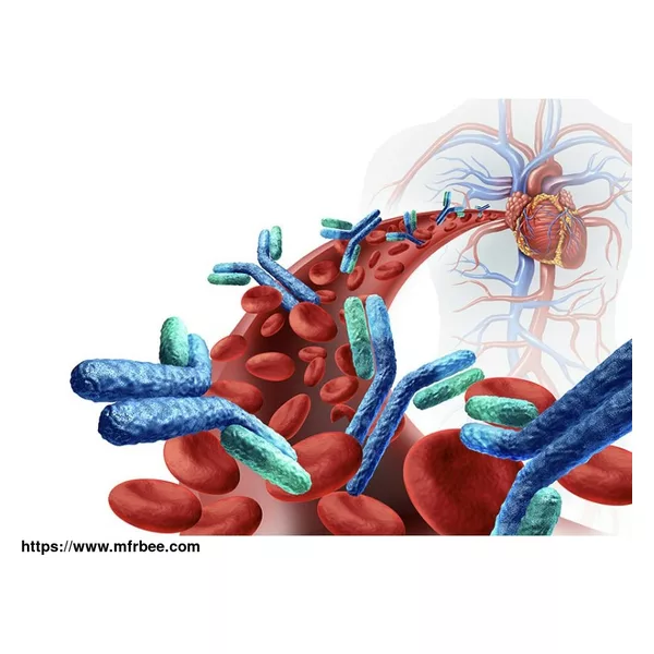 HE4 Tumor Marker