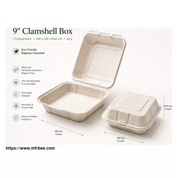 9" x 9" Compostable Clamshell | 1 Compartment | PFAS-Free