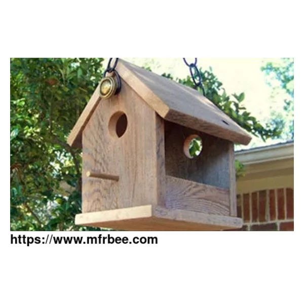 Bird Feeder