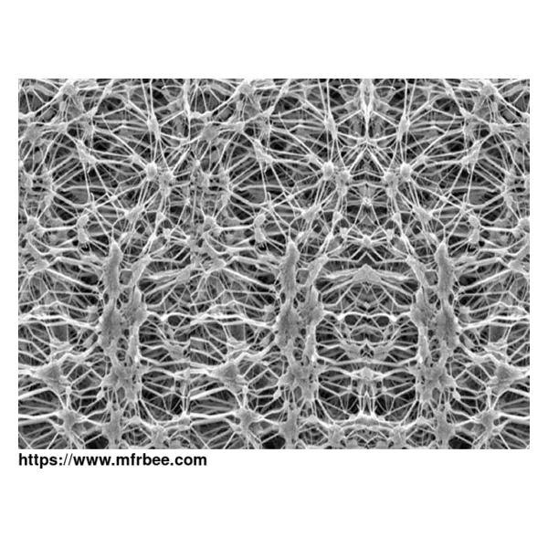 Expanded PTFE Membrane