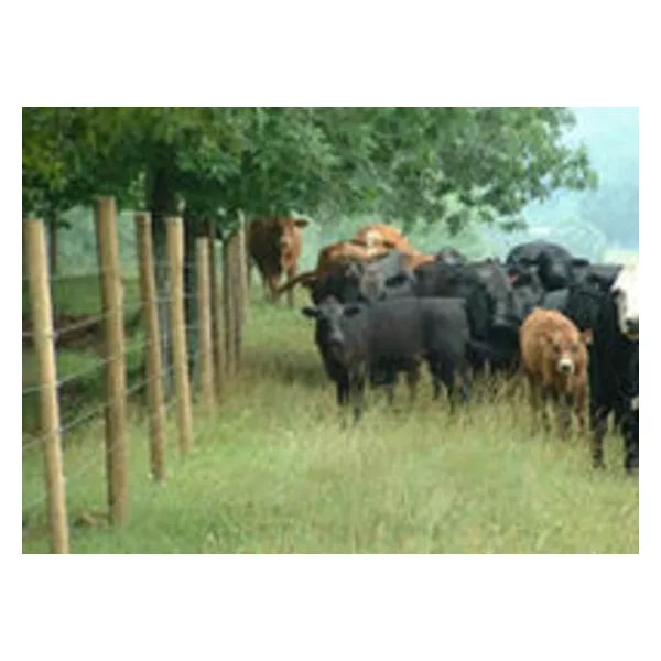 High tensile wire fence applied for enclosing animals
