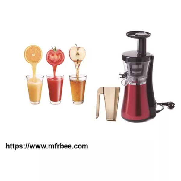 Slow Juicer with Juice Jug and Cleaning Brush